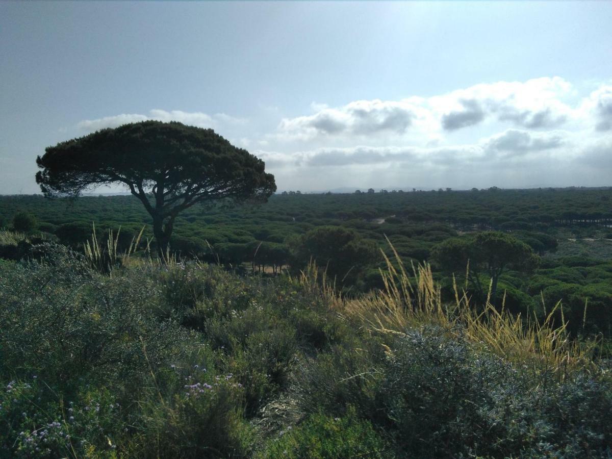 Alojamiento Dos Bahias Villa Chiclana de la Frontera Luaran gambar